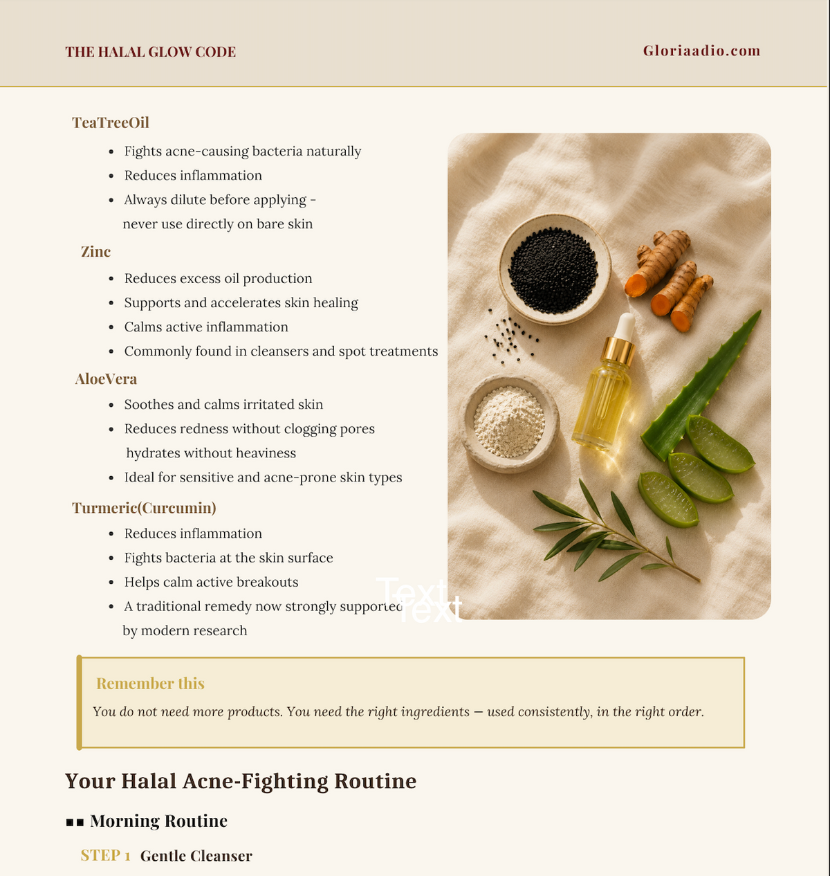 The Halal Glow Code halal acne skincare routine featuring tea tree oil, zinc, aloe vera and turmeric