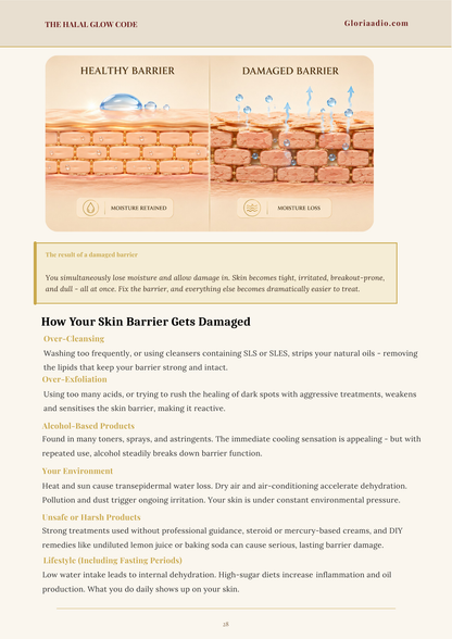 Healthy and damaged skin barrier diagram showing moisture retention and moisture loss